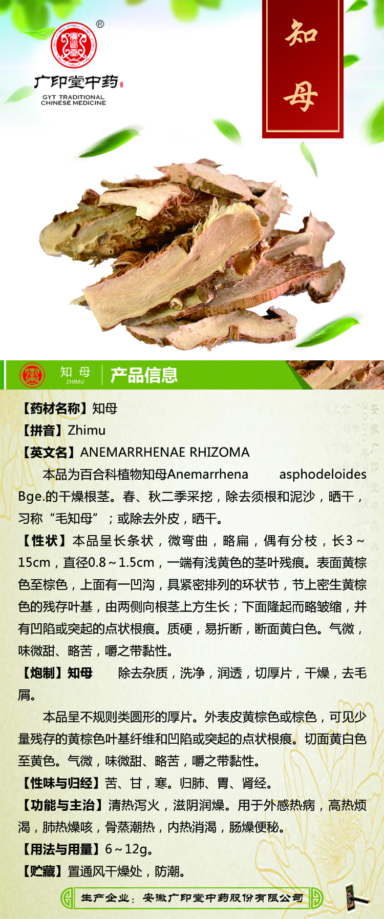 知母- 中药材及饮片 - 广印堂中药 - 安徽广印堂中药