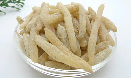 麦冬